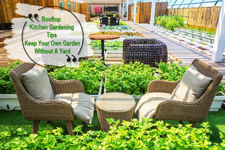 rooftop-kitchen-gardening-keep-your-own-garden-without-a-yard-lifestyle-garden-cadregen-free-house-plan